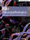 ACTA NEUROPATHOLOGICA雜志封面